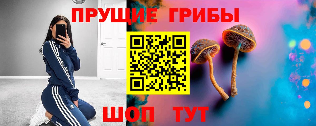 Галлюциногенные грибы MAGIC MUSHROOMS  Галлюциногенные грибы Psilocybe  Сергиев Посад  Вход с VPN 